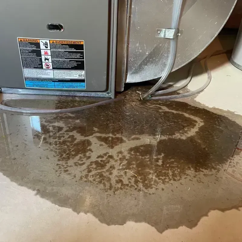 Appliance Leak Cleanup in McHenry County, IL